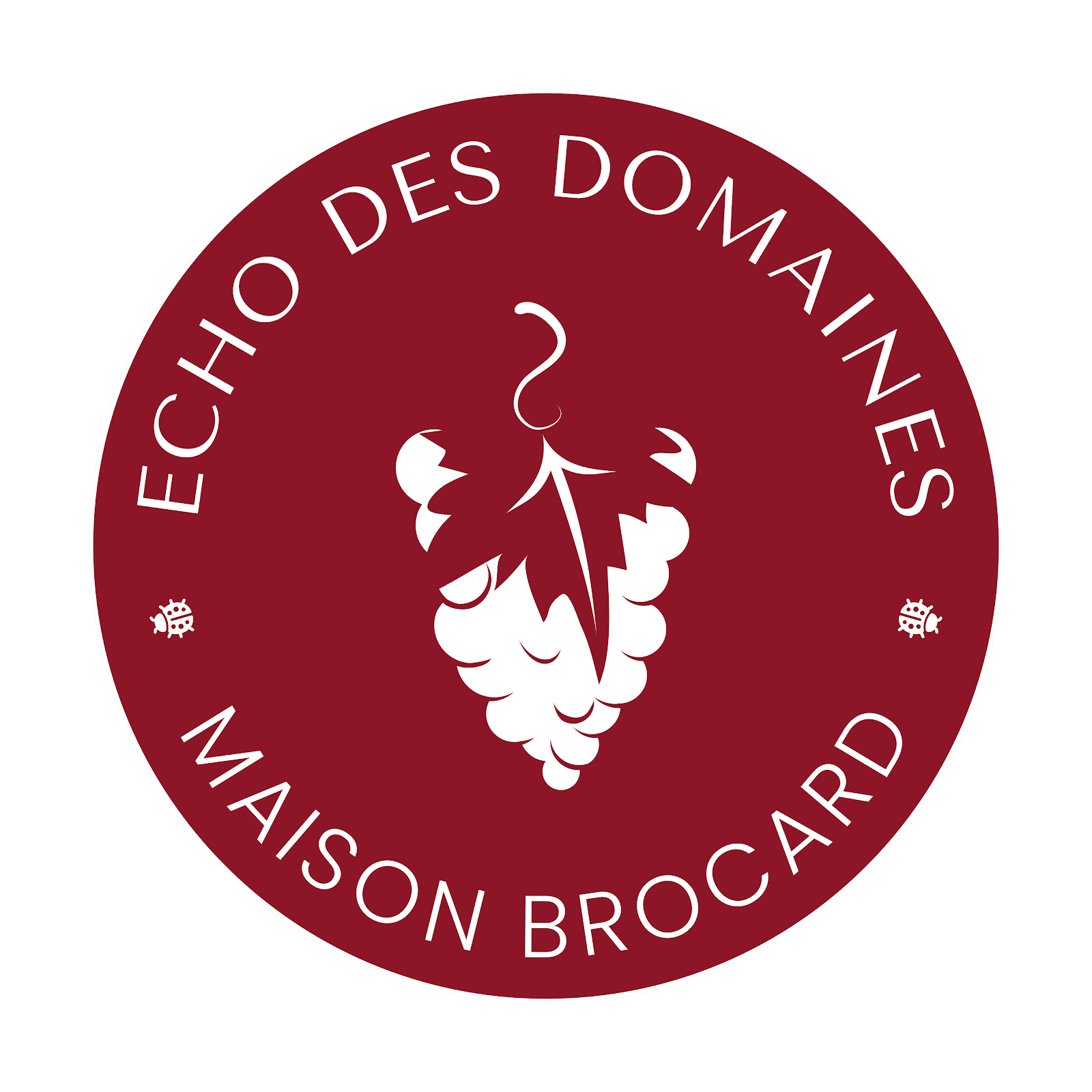 logo echo domaines